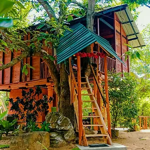 2* Bed & Breakfast Sigiri Sky & Treehouse